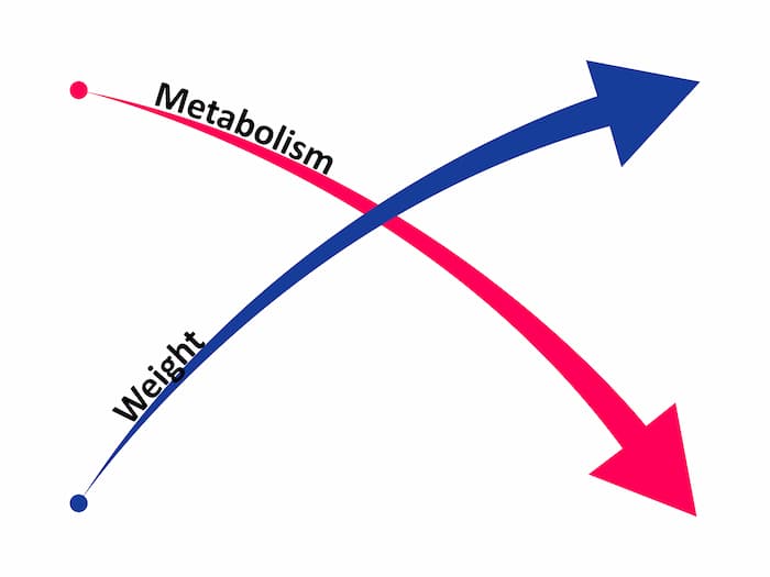 What causes the metabolism to slow down with age