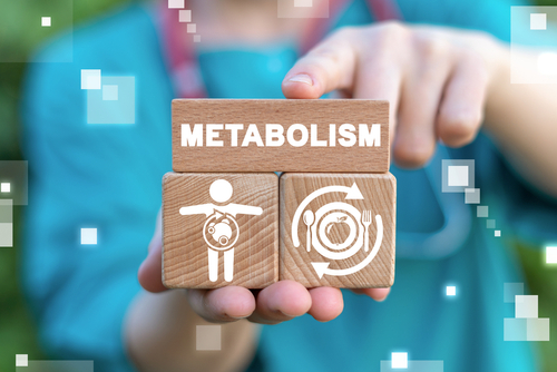 How do I stop my metabolism from slowing